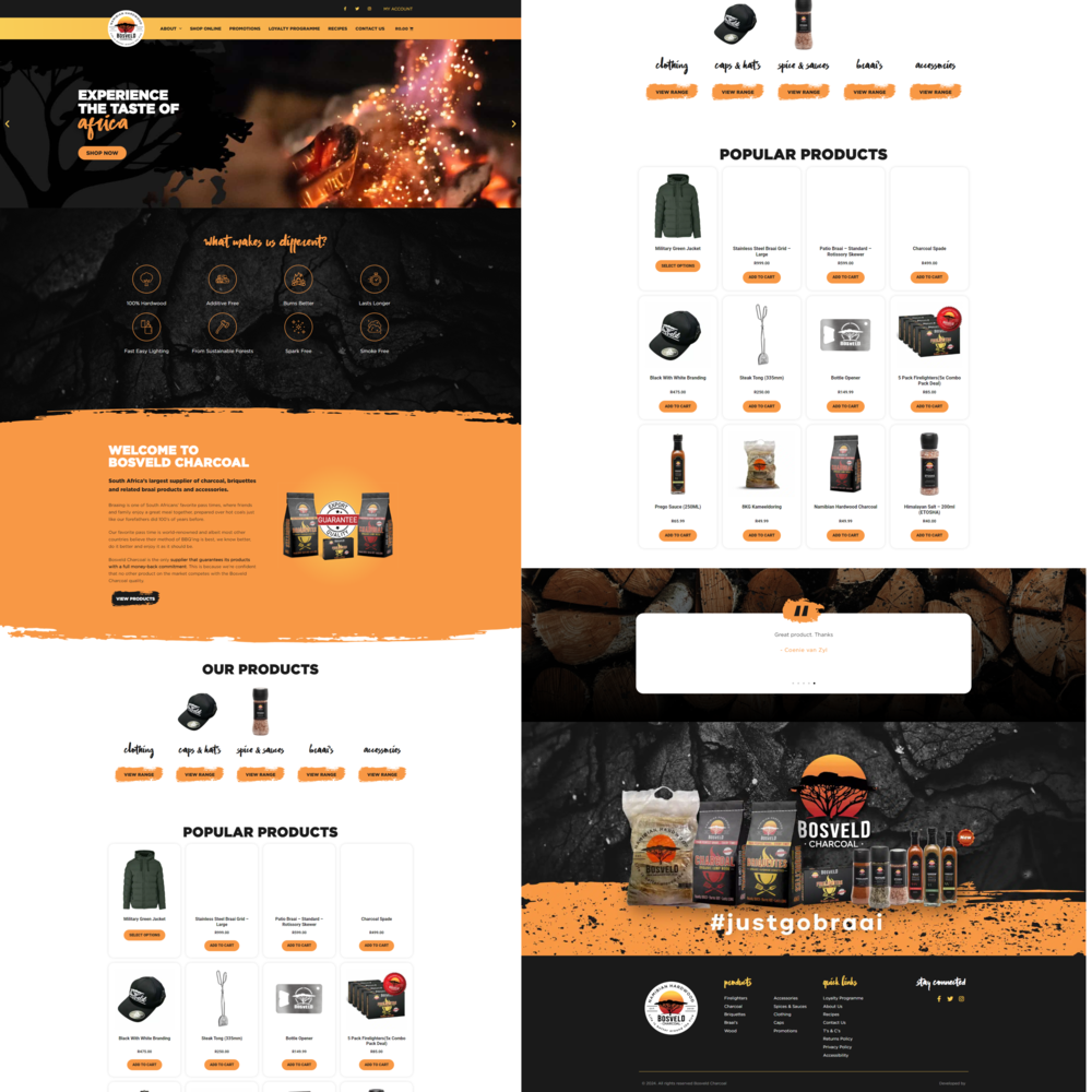Website Development portfolio Shreenology Infotech